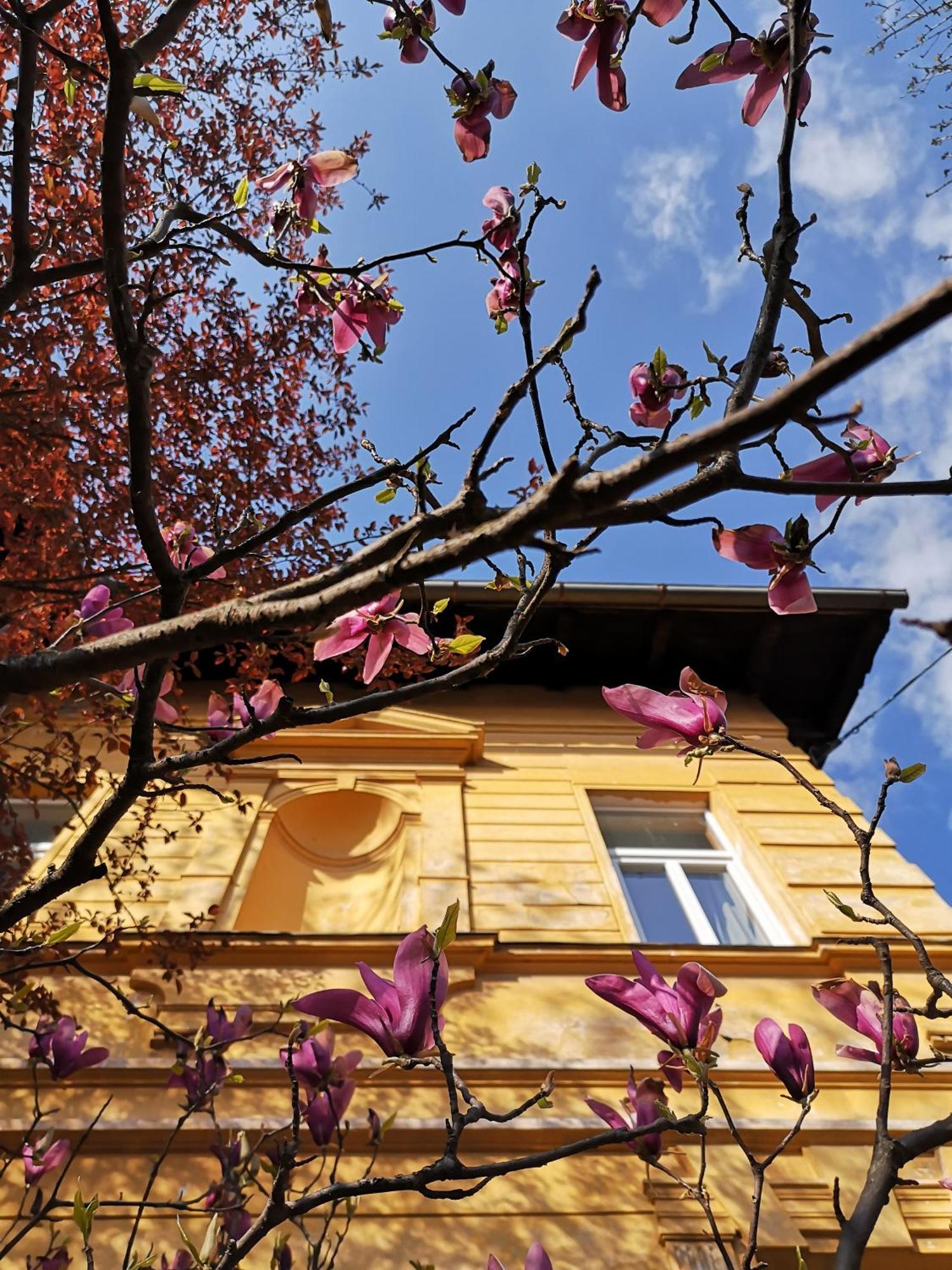 The Villa, Ljubljana City Center ภายนอก รูปภาพ