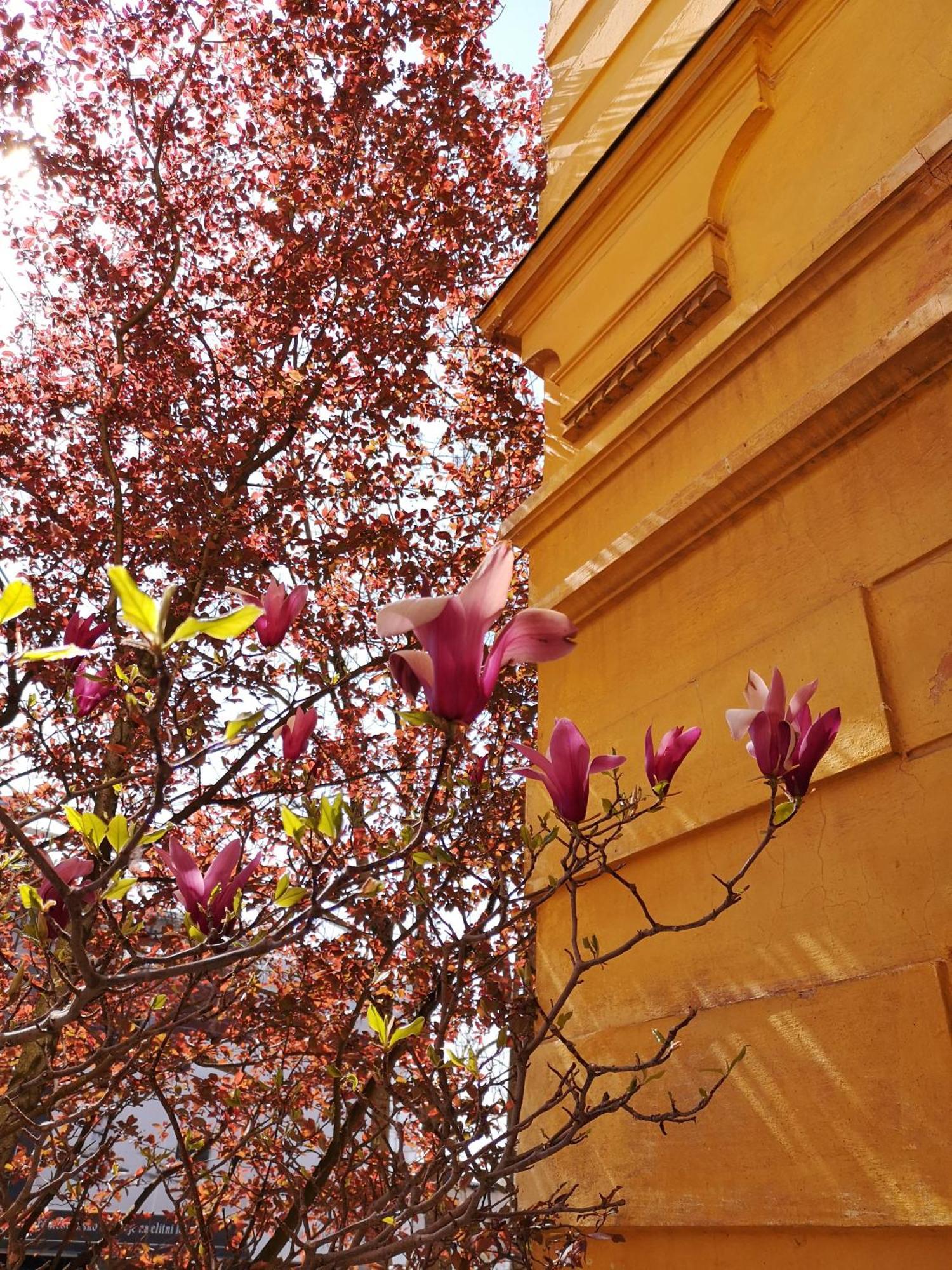 The Villa, Ljubljana City Center ภายนอก รูปภาพ