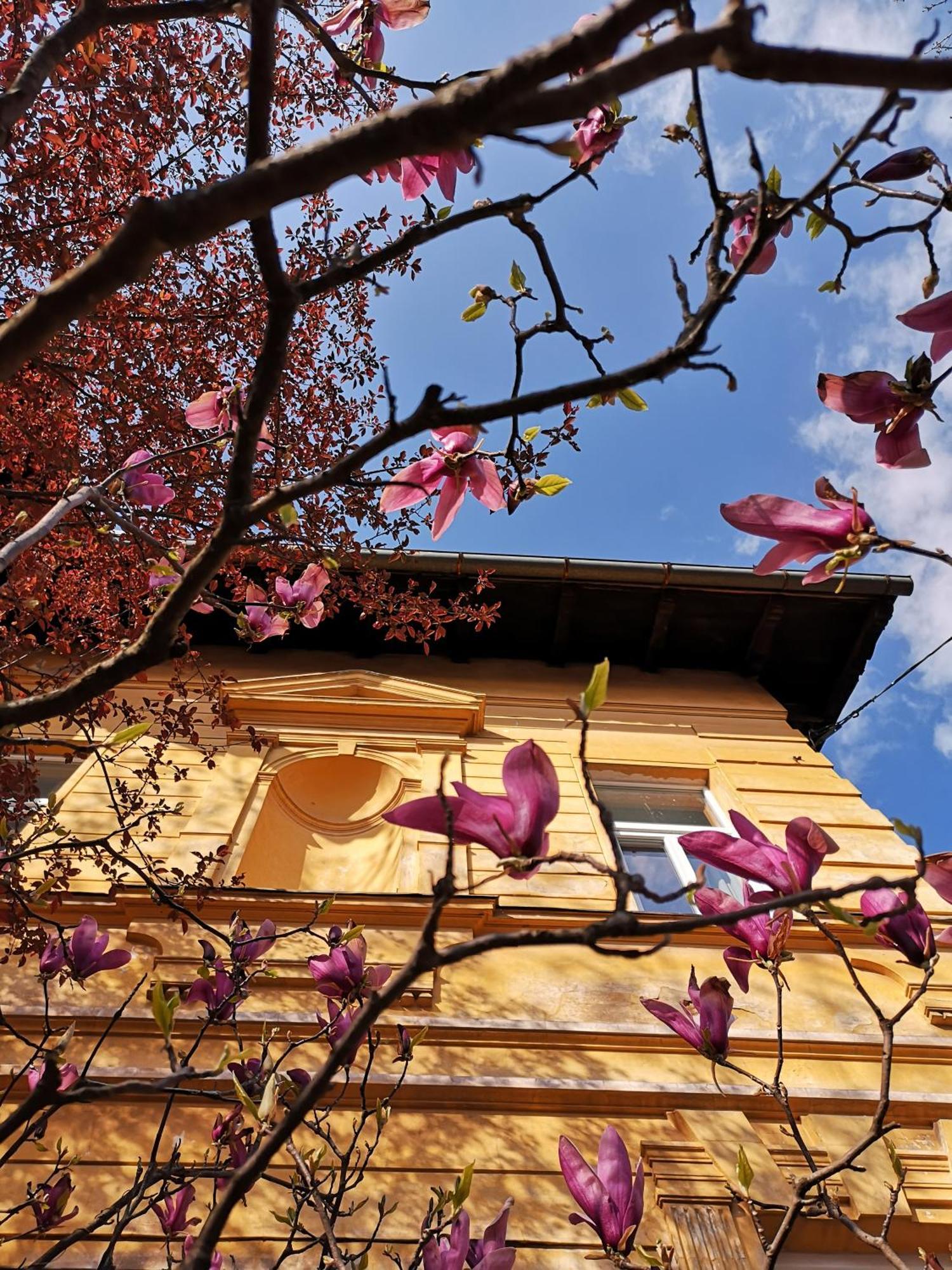 The Villa, Ljubljana City Center ภายนอก รูปภาพ